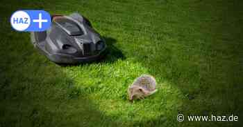 Nächtliches Fahrverbot für Mähroboter in Hannover?
