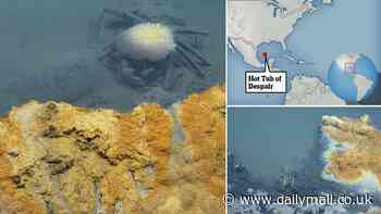 Beware of the 'Hot Tub of Despair': Terrifying pool appears harmless to the naked eye - but instantly kills almost anything that swims into it