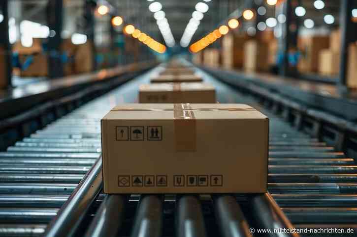 Fulfillment im E-Commerce – lohnt es sich?
