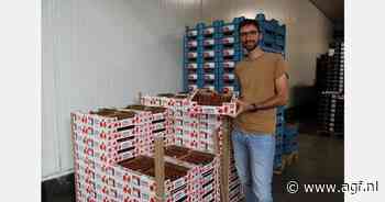 "We dachten de marginale wegsmijtprijzen voor tomaten nooit meer te zien"