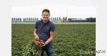 "Op termijn gaan we in Nederland naar een jaarrond teelt van zoete aardappelen toe"
