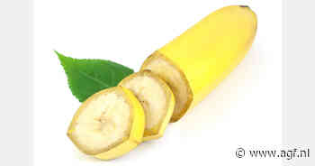 Export Dominicaanse bananen flink gedaald