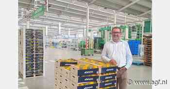 Redelijk goede start Primofiori citroenseizoen