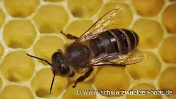 Kurioses in Altensteig: Diebe stehlen vier Kanister Bienenfutter