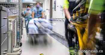 AI ‘early warning’ system shows promise in preventing hospital deaths, study says