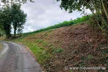 Plantwerk van schoolkinderen in Bellingen tot op de grond gemaaid: “Het was een ongelukje”