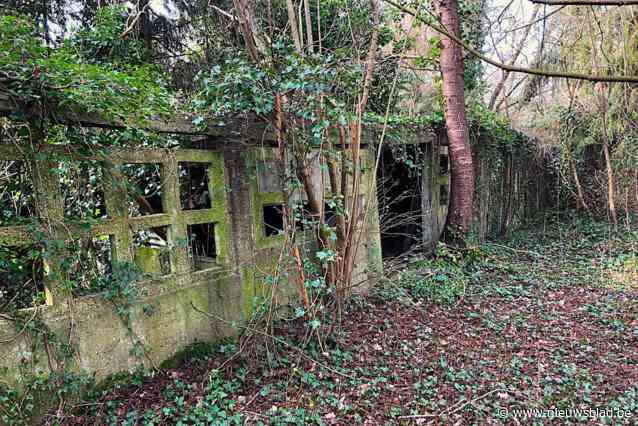 Natuurpunt Aalst onthardt 600 vierkante meter bos in Kapellemeersen: “Betonnen restanten van kippenkwekerij afgebroken en opgeruimd”
