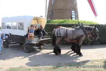 Molenfeesten baadden in zon