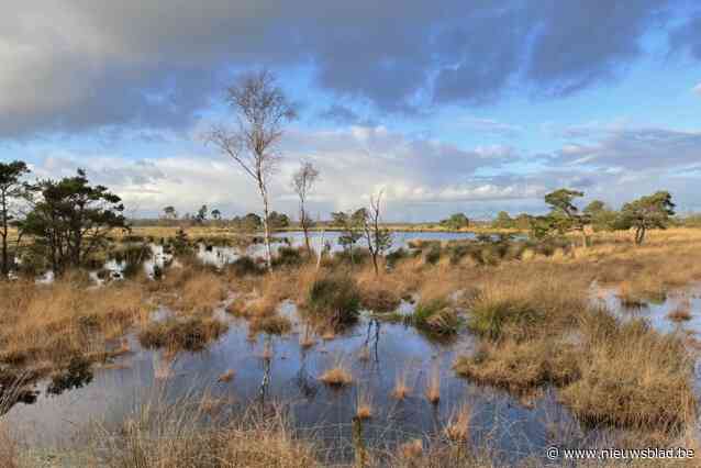 Beïnvloedt de natuur het stemgedrag in Turnhout? Natuurpunt organiseert debat