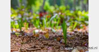 "Bodembiodiversiteit neemt toe bij omschakeling naar biologische teelt"
