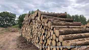 Zeugen gesucht: Bäume bei Bad Wildbad gefällt und gestohlen