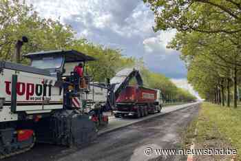 Laatste fase ontharding Charles de Costerlaan van start: voormalige toegangsweg wordt groene fiets- en wandelboulevard