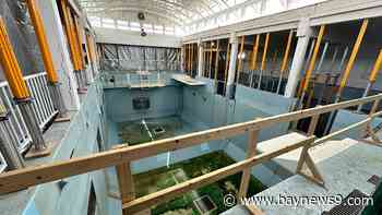 Clearwater Marine Aquarium wants bed tax grant for expansion