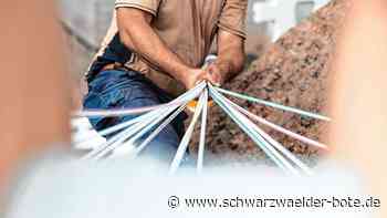 Infoabend in Gültlingen: Teile von Wildberg bekommen neues Glasfasernetz