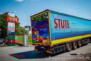 Stute: Rettung in Sicht