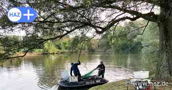 Stadt Hannover hat den Märchensee im Sahlkamp abfischen lassen