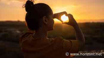 Relevante Umfelder: Warum Value Media kein leeres Versprechen ist