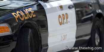 Wanted man arrested in Kingston