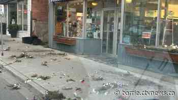 OPP seeks person responsible for 'senseless destruction' of flower displays