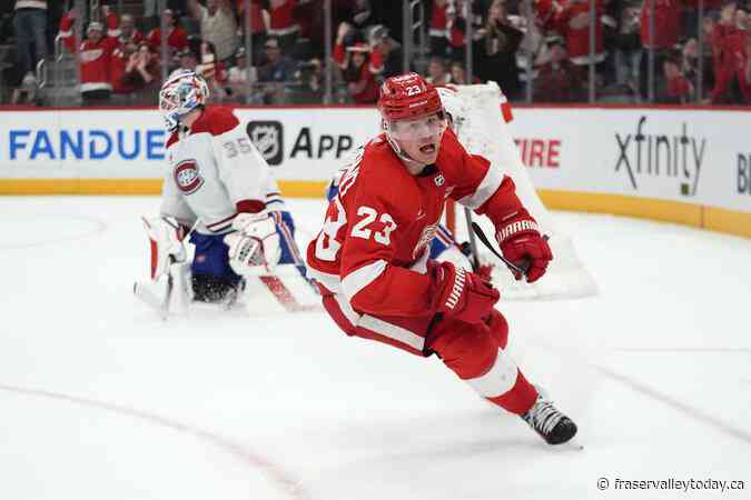 Red Wings sign Raymond to 8-year, $64.6 million contract