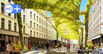 Blätterdach für Hannovers City: Kletterpflanzen sollen Schatten spenden