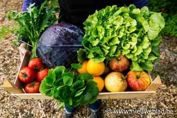 In deze webshop kan je 1.500 lokale en biologische producten bestellen: “We hebben het gat in het biolandschap gevuld”