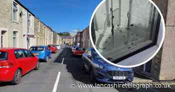 WATCH: Neighbours concerned as street plagued by flies weeks after body found