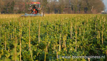 Consument gaat niet mee in trend naar regeneratief