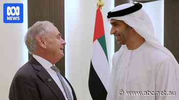 Government expecting investment into critical minerals and clean energy after trade pact with UAE