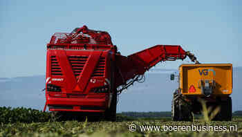 Bietencampagne 2024 start met wisselende cijfers