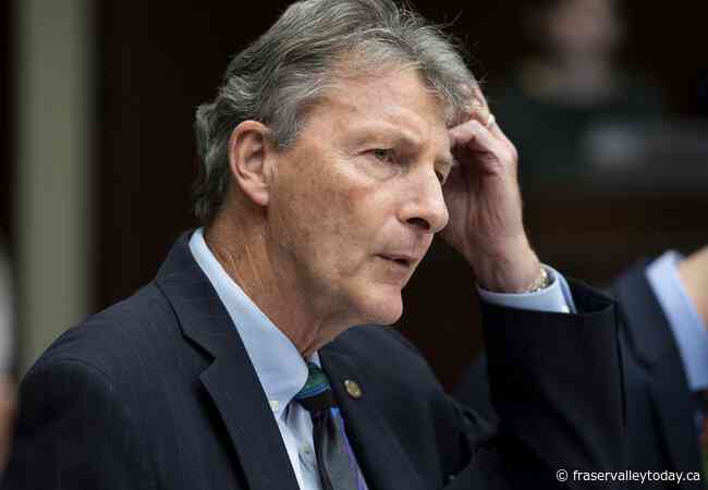 Foreign interference inquiry to hear from MPs, elections commissioner’s office