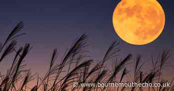 This week is your only chance to see a bigger and brighter Full Moon