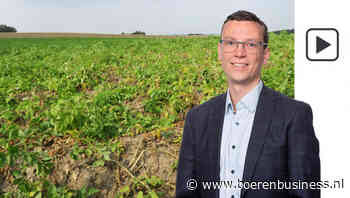 Aardappelmarkt kabbelt voort en de klok tikt door