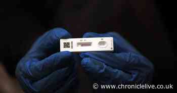 New Covid XEC variant 'taking charge' as experts predict global wave of cases this winter