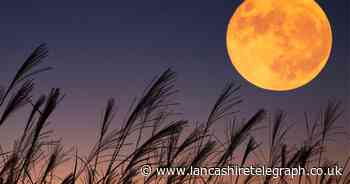 This week is your only chance to see a bigger and brighter Full Moon