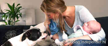 Veranderingen in zorg: eigen risico daalt flink vanaf 2027