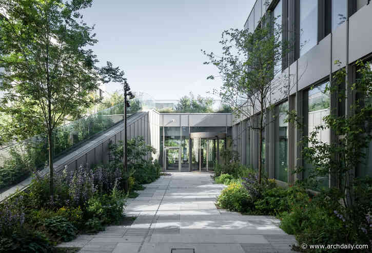 Green Therapy: How Does Nature Contribute to Healing Hospitalized Patients?