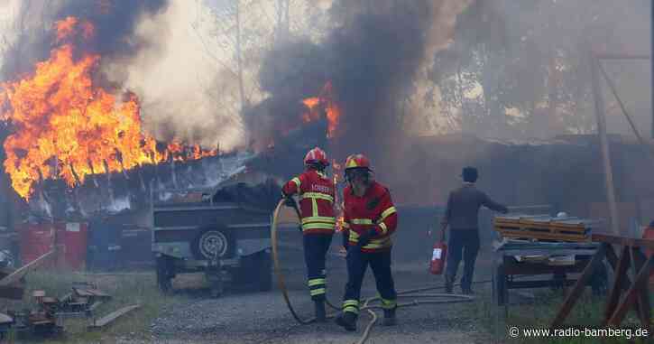 Bereits vier Todesopfer bei Waldbränden in Portugal