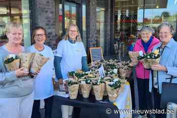 Enthousiaste vrijwilligers brengen 600 azalea’s aan de man voor Kom op tegen Kanker