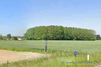 Woonuitbreidingsgebied blijft groen: “Deze zone vangt veel water op”