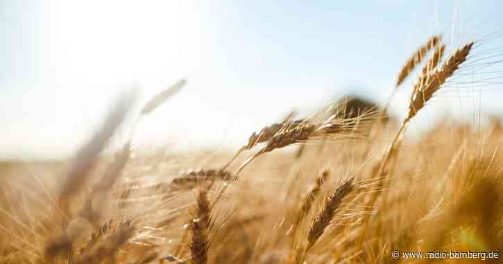 Hereinspaziert und informirt