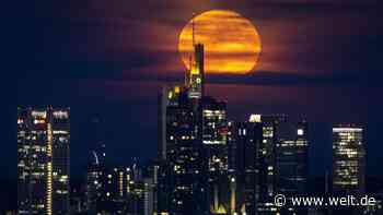 Ahnungslos in Frankfurt und Berlin