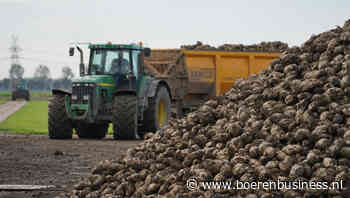 'Regioverschillen in 20 jaar niet zo groot geweest'