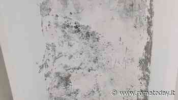Muffa e perdite d'acqua dentro l'asilo: "L'ambiente non è salubre"