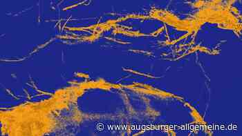 Künstlergilde macht die blaue Nacht zum Thema