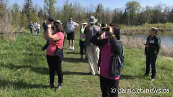 Bird walk offers chance to spot fall migrants with expert guide