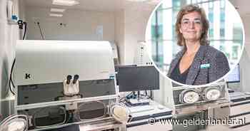 Is het beter om een embryo bij ivf terug te plaatsen op dag drie of dag vijf? Dit ontdekten Nijmeegse onderzoekers