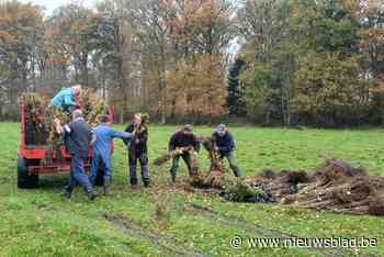 Gemeente gaat bebossingsproject aan Achterlo doen