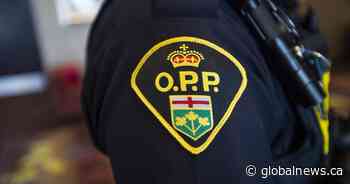 Animal dies after being found on fire in Ontario, police investigating
