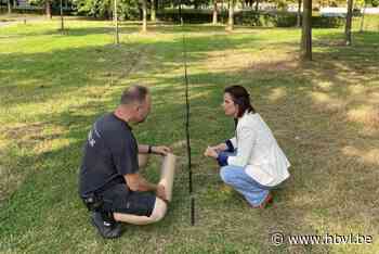 Voortaan mogen afbreekbare urnes in volle grond begraven worden in Hasselt